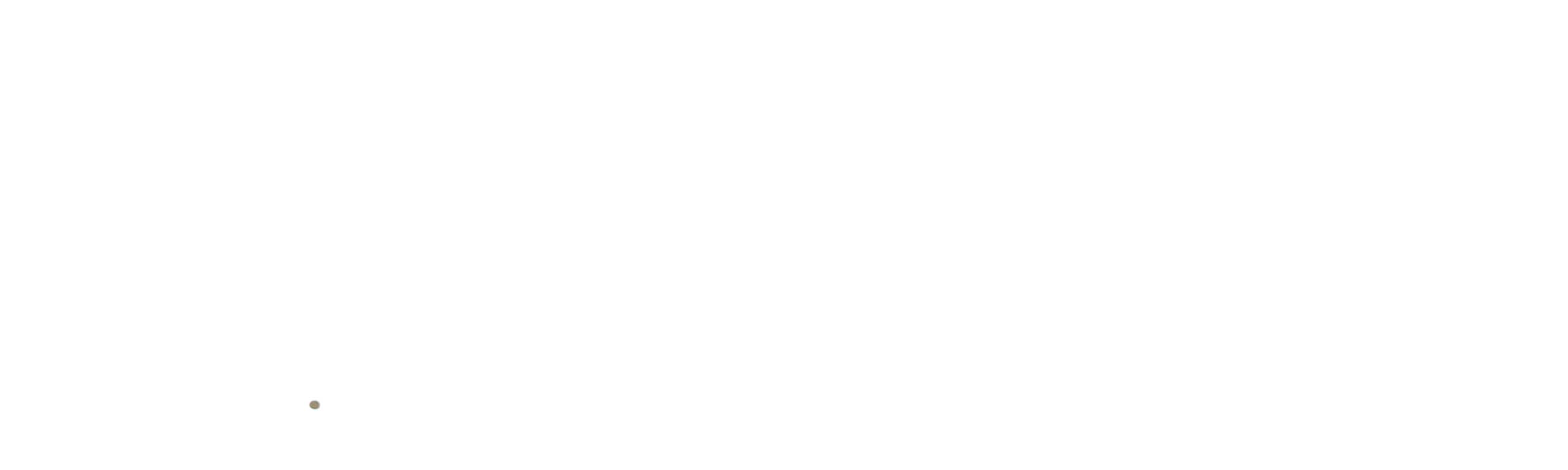 Forest View Homestay